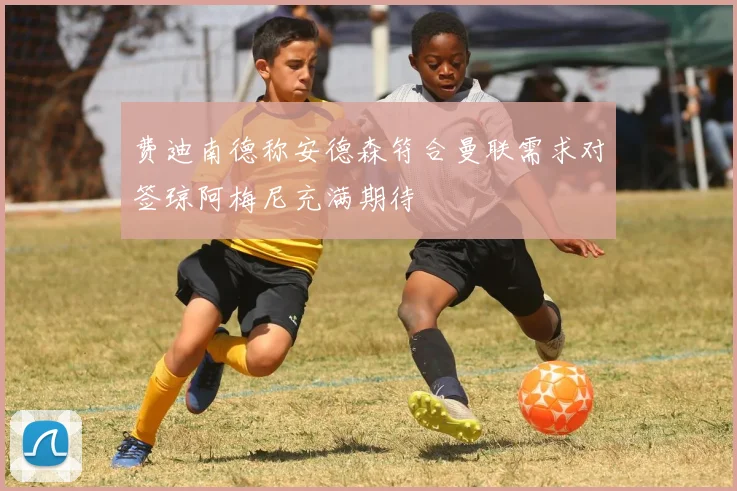 费迪南德称安德森符合曼联需求对签琼阿梅尼充满期待